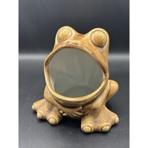 Ceramic Frog Sponge Holder Brown Tan Retro Kitchen Decor
